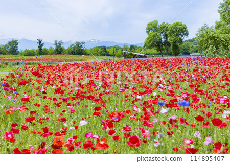 National Park Michinoku Lakeside Park Kababo Lake Miyagi Prefecture National Park Michinoku Lakeside Park Kababo Lake Miyagi Prefecture 114895407