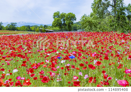 National Park Michinoku Lakeside Park Kababo Lake Miyagi Prefecture 114895408