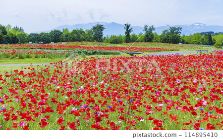 國立公園Michinoku Lakeide Park Kababo Lake Miyagi Prefecture 114895410