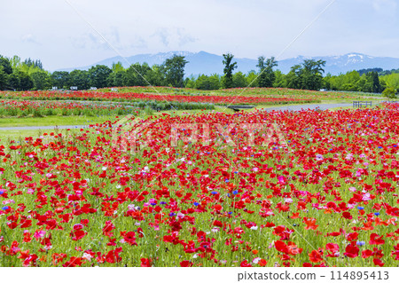 National Park Michinoku Lakeside Park Kababo Lake Miyagi Prefecture National Park Michinoku Lakeside Park Kababo Lake Miyagi Prefecture 114895413