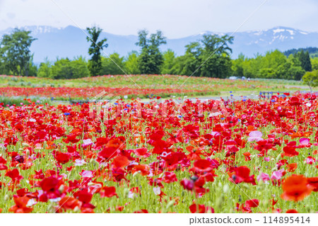 National Park Michinoku Lakeside Park Kababo Lake Miyagi Prefecture 114895414