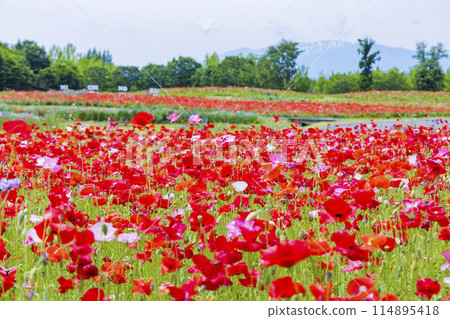 國立公園Michinoku Lakeide Park Kababo Lake Miyagi Prefecture 114895418