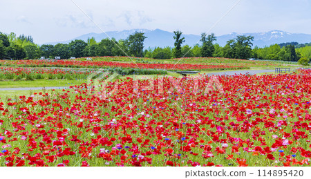 國立公園Michinoku Lakeide Park Kababo Lake Miyagi Prefecture 國立公園Michinoku Lakeide Park Kababo Lake Miyagi Prefecture 114895420