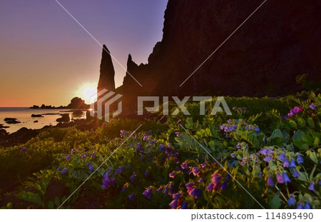 Evening view of Motoji Coast (Jizoiwa) on Rebun Island 114895490