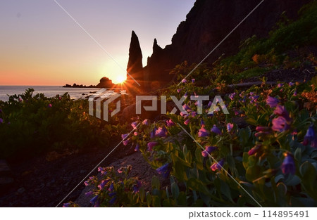 Evening view of Motoji Coast (Jizoiwa) on Rebun Island Evening view of Motoji Coast (Jizoiwa) on Rebun Island 114895491
