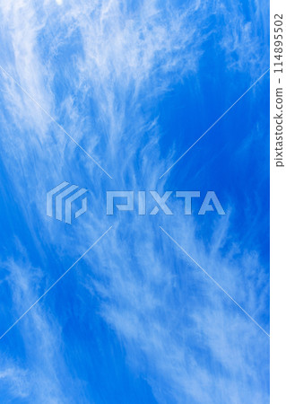 藍天白雲 114895502