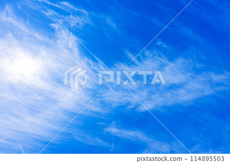 藍天白雲 114895503