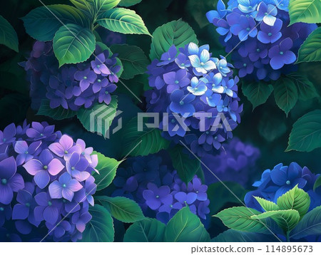 Hydrangea at dawn 114895673