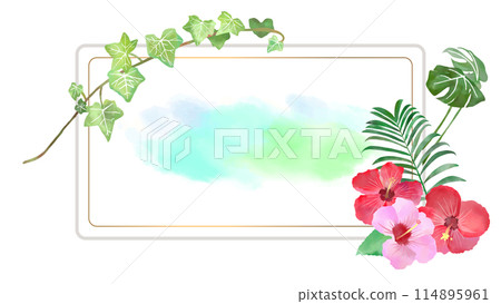 夏季植物和白板背景插畫素材水彩、向量框架橫幅模板白色背景 夏季植物和白板背景插畫素材水彩、向量框架橫幅模板白色背景 114895961