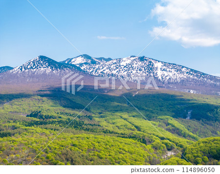 Mount Hakkoda in spring (Aomori Prefecture) 114896050