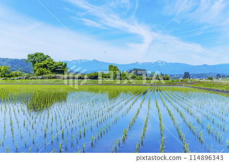 藏王毀了山脈和稻田 114896343