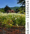 初夏花園 114896424