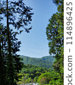 從樹之間看到的風景 114896425