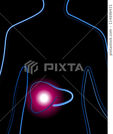 Vector isolated illustration of liver diseases. Concentration of pain in the liver. Diagnosis of the liver. Cirrhosis. 114896431