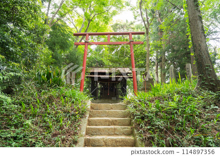 伊綱神社（津久井城山） 114897356