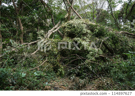 里山遭受颱風破壞 114897627