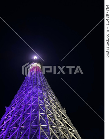 從下方看晴空塔夜景 114897764