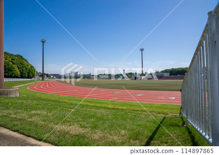 Arena Arena 114897865