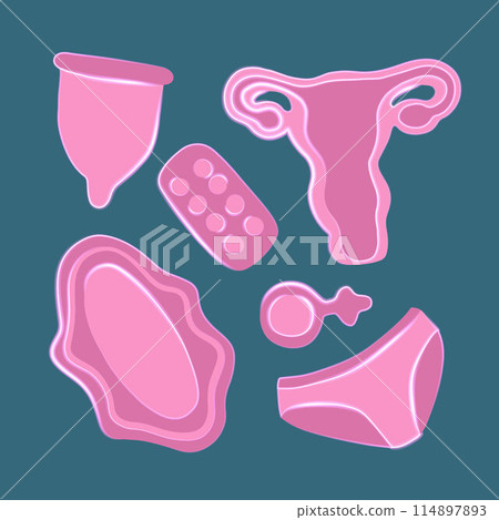 Vector isolated illustration of menstrual set. Menstrual cycle. Vector isolated illustration of menstrual set. Menstrual cycle. 114897893