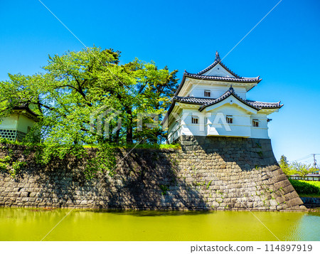 Shibata Castle (Shibata City, Niigata Prefecture) 114897919