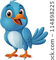 Cartoon happy blue bird standing against white background 114898225