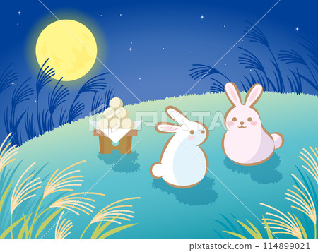 兩隻兔子晚上在潘帕斯草地上看月亮（側身） 114899021