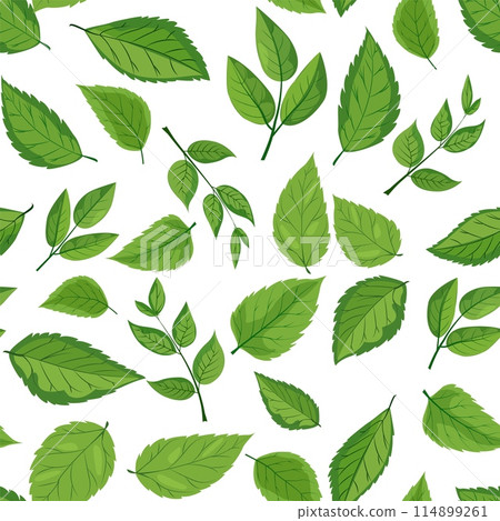 seamless pattern features various shades and shapes of green leaves against a white background. Perfect for nature-themed designs, eco-friendly packaging, and botanical illustrations 114899261