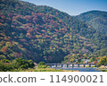 秋葉和Togetsu橋樑的Arashiyama 114900021