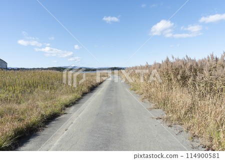 一條直路 一條直路 114900581