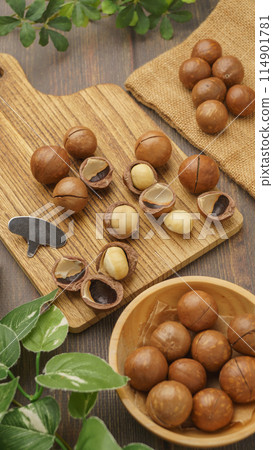 帶殼的澳大利亞堅果 114901781