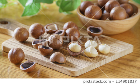 帶殼的澳大利亞堅果 114901837