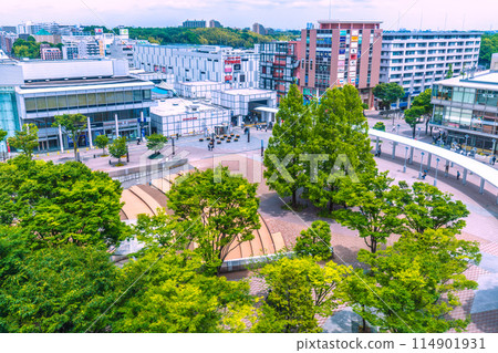 日本橫濱市容 地鐵中心南站鮮綠樹葉景觀=5月23日 日本橫濱市容 地鐵中心南站鮮綠樹葉景觀=5月23日 114901931