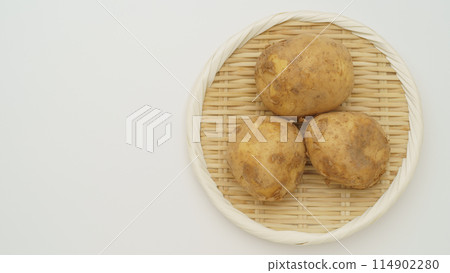 新土豆/土豆圖像 114902280
