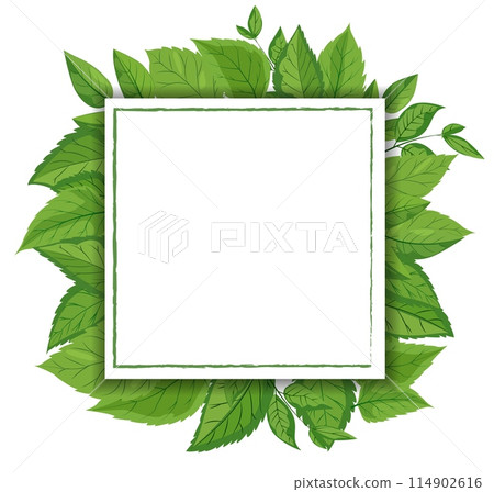 A vector featuring a square white frame embellished with vibrant green leaves. lush foliage surrounds the frame, creating a fresh, natural, and eco-friendly theme suitable. Mockup, template A vector featuring a square white frame embellished with vibrant green leaves. lush foliage surrounds the frame, creating a fresh, natural, and eco-friendly theme suitable. Mockup, template 114902616