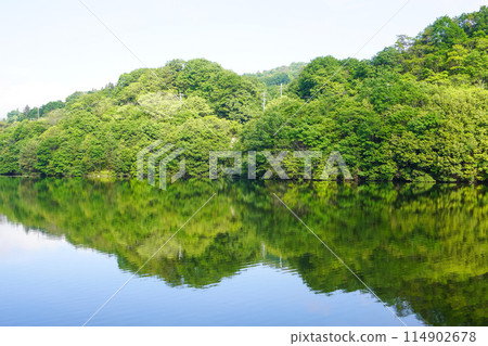 豐年池大壩（香川縣豐年池大壩） 114902678