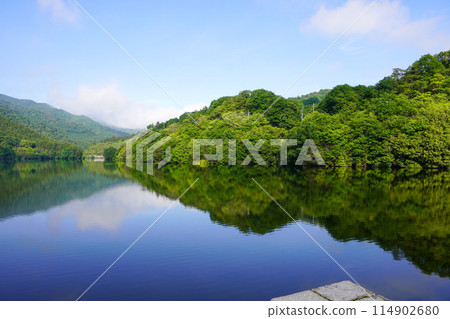 豐年池大壩（香川縣豐年池大壩） 114902680