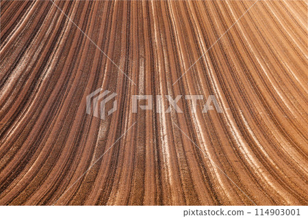 Chocolate colored field pattern texture 114903001