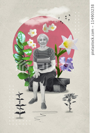 Smiling senior lady sitting in park during summer - collage with design in retro style Smiling senior lady sitting in park during summer - collage with design in retro style 114903238