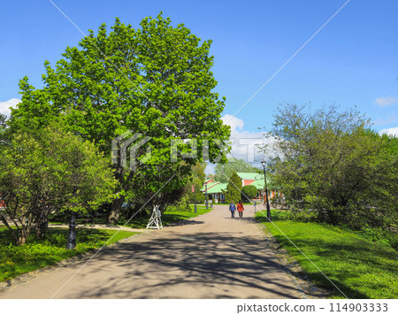 Summer park scenery of Tsaritsyno Park in Moscow, Russia. Summer park scenery of Tsaritsyno Park in Moscow, Russia. 114903333