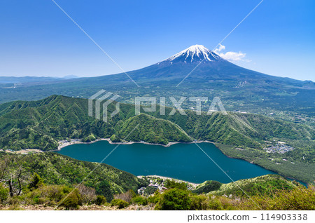 從山梨縣雪戶岳眺望初夏的富士山和西湖 114903338