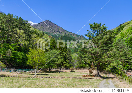 Yamanashi Prefecture, fresh green trees and Mount Setsugatake 114903399