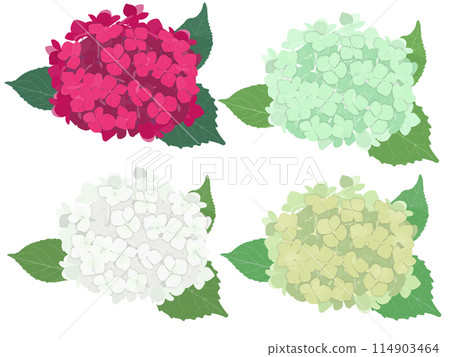 繡球花4色套裝（A） 114903464