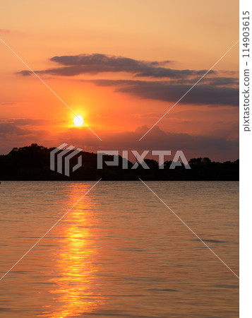 埼玉縣戶田市西湖的日落 114903615