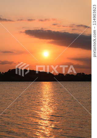 埼玉縣戶田市西湖的日落 埼玉縣戶田市西湖的日落 114903623