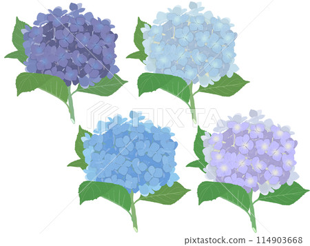 藍色繡球花莖四色套裝(B) 藍色繡球花莖四色套裝(B) 114903668