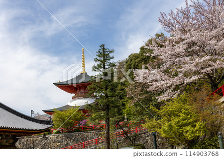 兵庫縣/中山寺大觀圖（2024年4月13日拍攝） 114903768