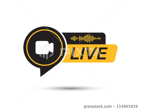 Live stream button icon in flat style. Webinar vector illustration on isolated background. Streaming sign business concept. 114903839