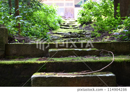 六月，在長滿青苔的樓梯盡頭可以看到瑞龍院建築 114904286