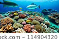 An underwater illustration of a beautiful coral reef 114904320
