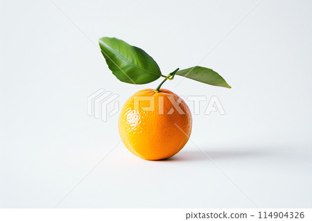 橘子 114904326